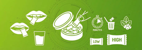 How To Use Nicotine Pouches