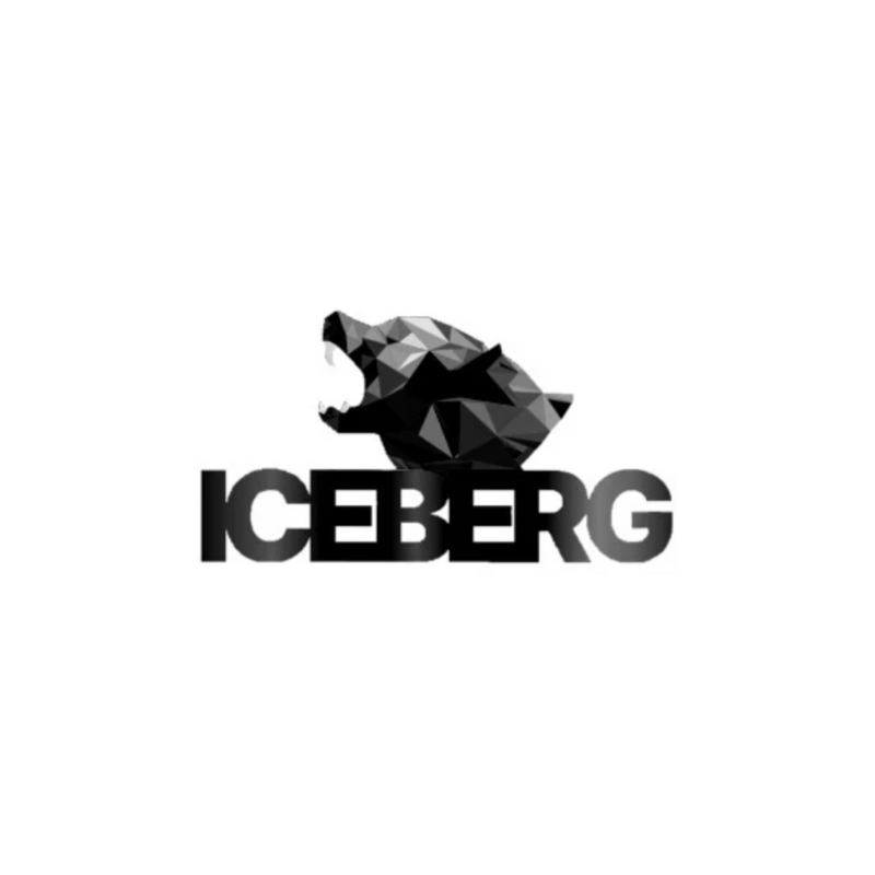 Iceberg