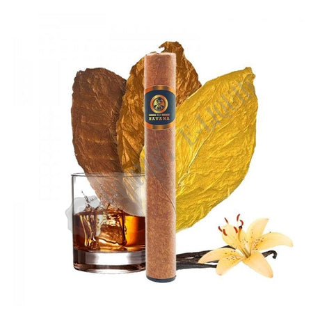 XO Havana Cigar Disposable Vape