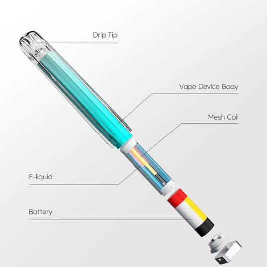 An exploded view of a disposable vape showing you what is inside a typical device