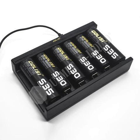 Golisi Needle 6 Smart Battery Charger